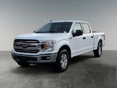 2020 Ford F-150 XL 4WD SuperCrew 5.5' Box Image# 1