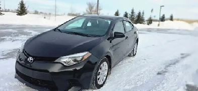 2014 toyota corolla sedan Image# 1