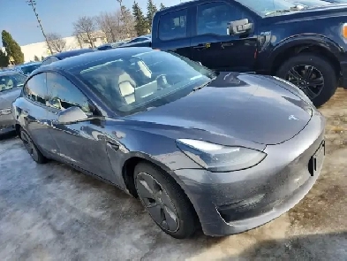 2021 Tesla Model 3 LONG RANGE RWD NAVIBACKUP CAMPANO ROOFLOA
