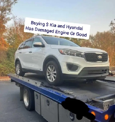 Wanted  Hyundai and Kia  has damaged engine