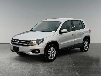 2014 Volkswagen Tiguan 4MOTION 4dr Auto Trendline Image# 1