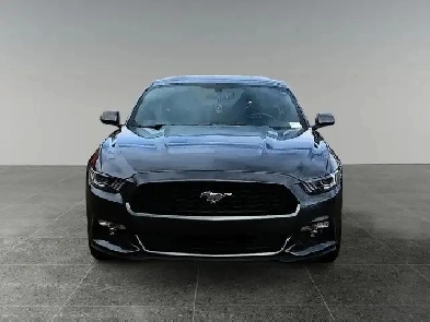 2017 Ford Mustang 2dr Fastback EcoBoost Image# 1