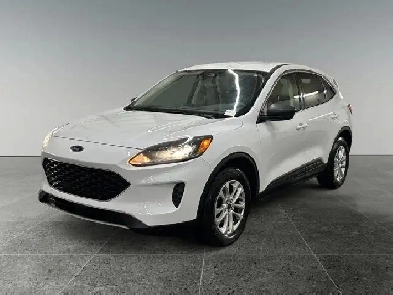 2022 Ford Escape SE Image# 1