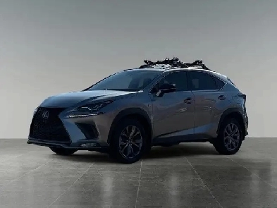 2020 Lexus NX NX 300 Image# 1