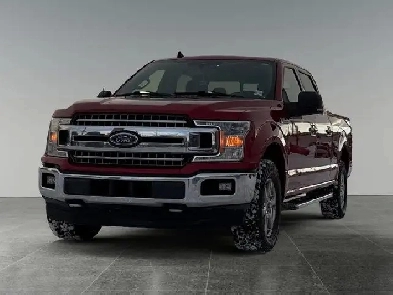 2020 Ford F-150 XL Image# 1