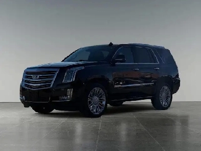 2020 Cadillac Escalade Platinum Image# 1