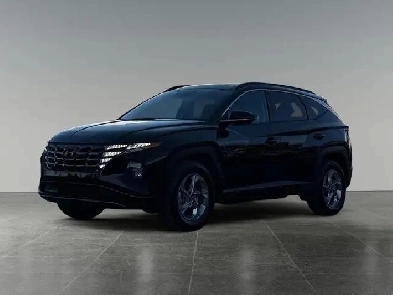 2024 Hyundai Tucson Trend Image# 1