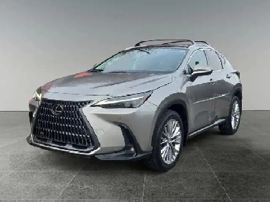 2022 Lexus NX NX 350h Image# 1