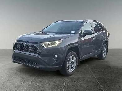 2020 Toyota RAV4 Hybrid XLE Image# 1
