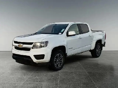 2019 Chevrolet Colorado 4WD Work Truck Image# 1