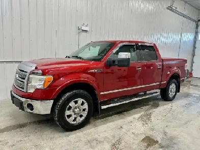 2010 Ford F150 Platinum New Safety Clean Title