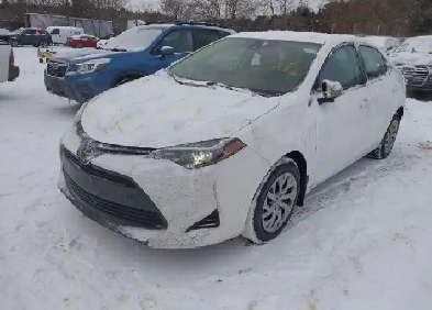 2019 Toyota Corolla Auto LE Image# 1