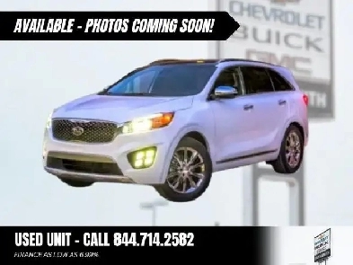2017 Kia Sorento LX Turbo  Woodgrain Interior Trim