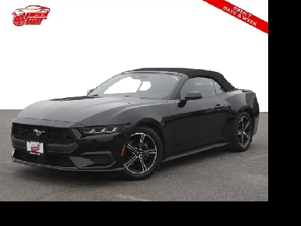 2024 Ford Mustang EcoBoost (CONVERTABLE), Apple Carplay, BSM, Le Image# 1