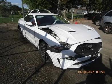 2019 Ford Mustang COUPE