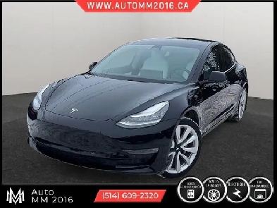 2019 Tesla Model 3 Image# 1