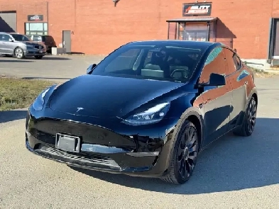 2022 Tesla Model Y Performance AWD Image# 1