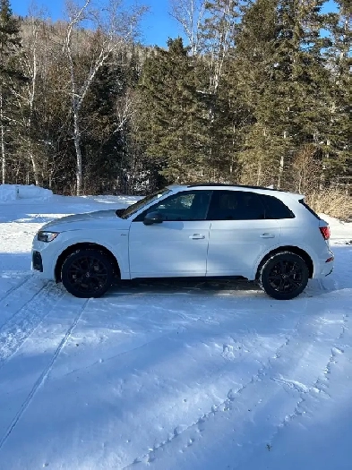 2023 Audi Q5 Technik