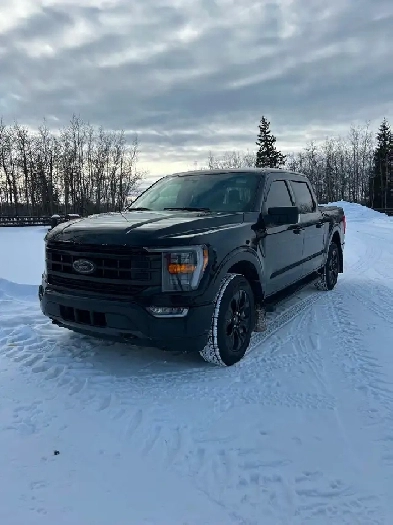 2023 F150 4x4 Image# 1