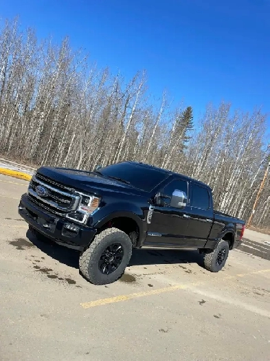 2022 platinum f350 Image# 1