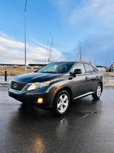 2010 LEXUS RX 350 Image# 1