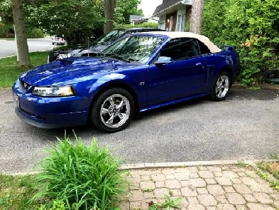 Ford Mustang GT convertible 2002 Image# 1