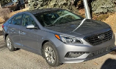 Immaculate 2016 Hyundai Sonat  13990