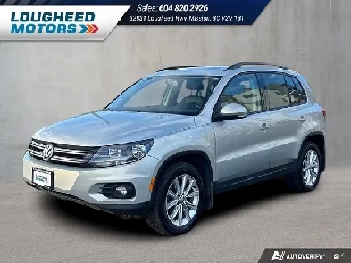2013 Volkswagen Tiguan 4Motion Trendline