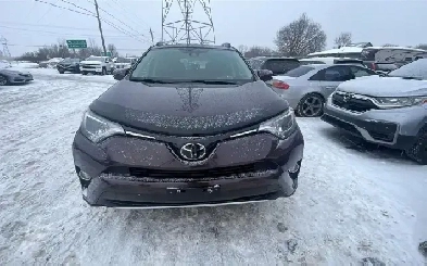 2017 Toyota RAV4 XLE Image# 1