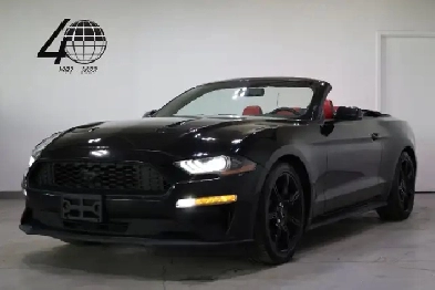 2020 Ford Mustang Cabriolet - Convertible EcoBoost Convertible Image# 1