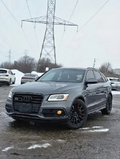 2017 Audi SQ5 AWD Image# 1