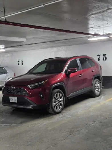 2025 TOYOTA RAV4 LIMITED AWD gas model for sale Image# 1