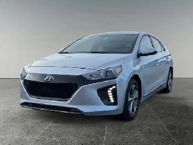 2019 Hyundai Ioniq Electric Preferred Image# 1