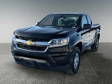 2019 Chevrolet Colorado 2WD Work Truck Image# 1