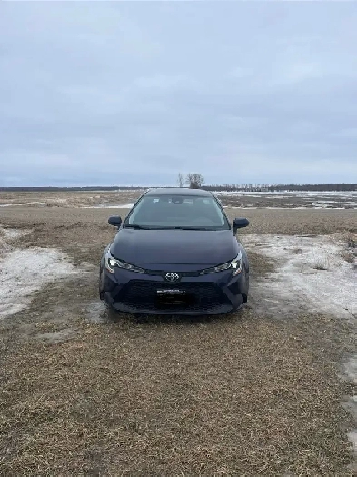 2021 Toyota Corolla Le Image# 1