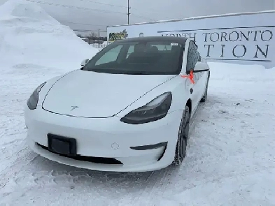 2023 Tesla Model 3 Image# 1
