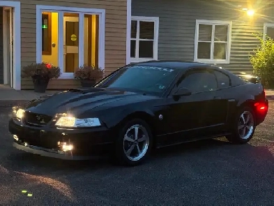 2004 Mustang Mach 1 Image# 1