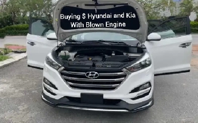 Buying $ Hyundai and Kia ( has damaged engine ) Image# 1