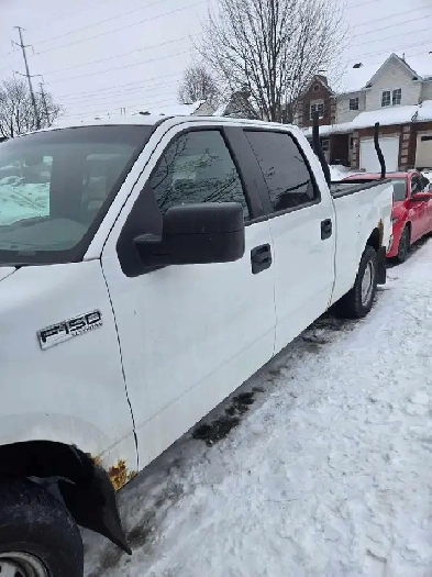 Ford F150 XLT 4D Crew Cab 2008 Image# 1