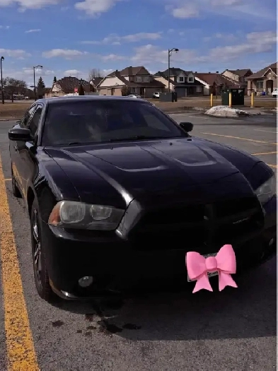 2014 Dodge Charger for Sale Image# 1