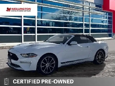 2020 Ford Mustang EcoBoost Convertible - Wheel & Stripe PKG Image# 1