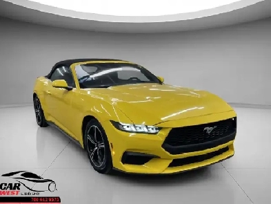 Ford Mustang Ecoboost 2024 Image# 1