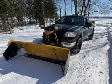 Ford F-150 XLT 2004 78 500km avec gratte Fisher Image# 1