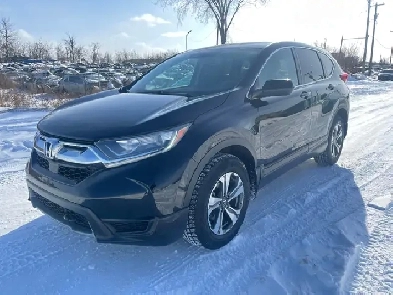 2019 Honda CR-V LX Image# 1