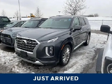 2020 Hyundai Palisade Ultimate Image# 1