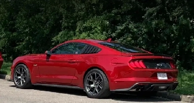 Ford mustang gt  performance package 2  recaro racing seats Image# 1