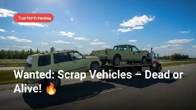 Wanted: Scrap Vehicles – Dead or Alive! Image# 1