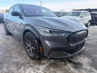 2021 FORD Mustang MACH-E Premium Image# 1