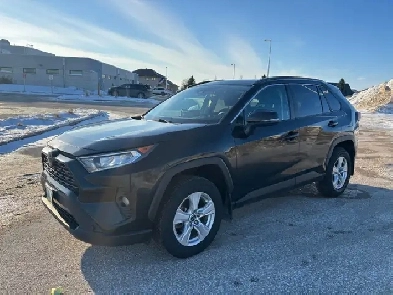 2020 Toyota RAV4 Image# 1