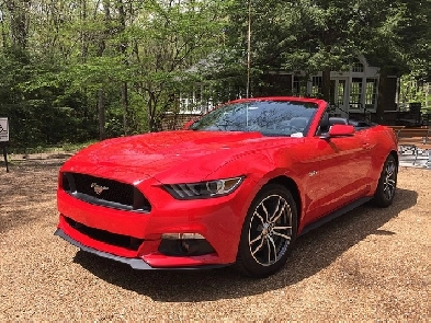 WANTED - 2015 to 2020 Mustang GT Image# 1